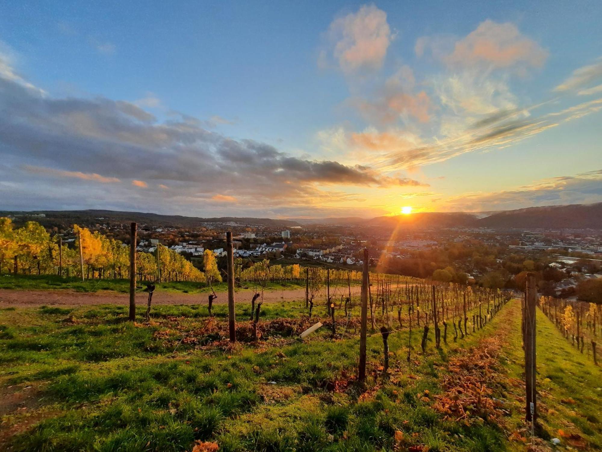 Ferienwohnung An Der Obermosel Oberbillig 外观 照片